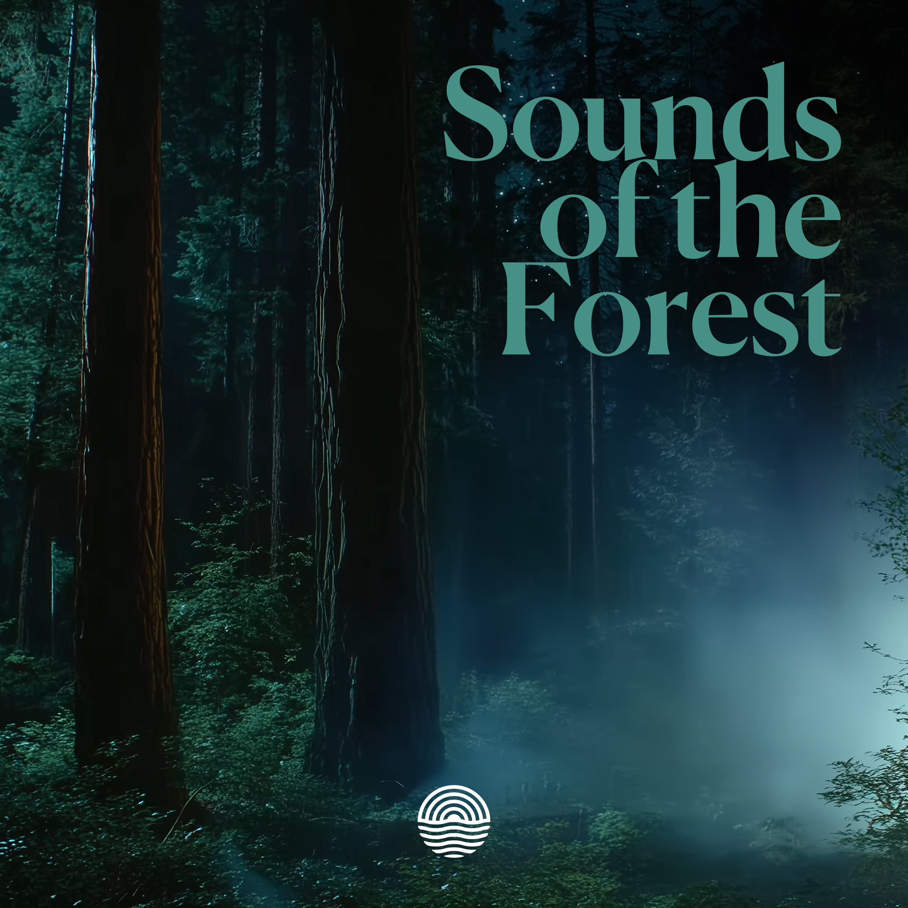 Sounds of the Forest
